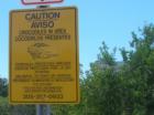 Don't mess with the crocodiles in Palmetto Bay!