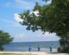 Lunch break on Biscayne Bay
