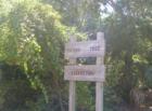 Native Tree Arboretum (the trees are kept for educational purposes) at Bill Sadowski Park