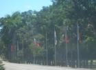 Flags lining the drive into Palmer Trinity School in Palmetto Bay