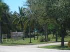 Trees lining Old Cutler Road in Palmetto Bay