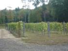 Zorvino Vineyards Sandown NH 