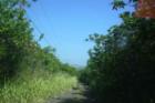 Ar119188917727262_l