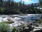 The Spokane River is wide and offers quite a challenge for those who enjoy water sports!  Our family loves to walk along the edge and look for wildlife.  We usually find it!