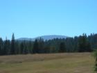 Quiet Meadows are in harmony with the cool outline of Mount Spokane.  I love living here!