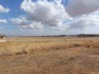 Typical Ranch backyards are spacious!