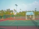 Cary Tennis Park has been named an Outstanding Tennis Facility of the Year by the USTA.  It has 30 tennis courts, a stadium court, and a teaching court. 
      