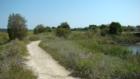 Trail System offers great jogging trails