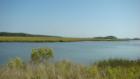 Enjoy the Coastal Marshes of Cherry Grove