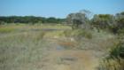 Coastal Marshes at Low Tide