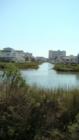 Myrtle Beach's little Vience