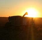 Corn harvest outside Magnolia Iowa