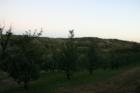 Fall in the Loess Hills of Western Iowa
      