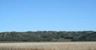 Fall in the Loess Hills of Western Iowa