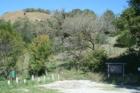 Loess Hills State Forest at Mondamin