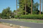 Arcadia neighborhood