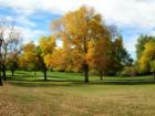 Wellshire Golf Course