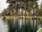 Waterfalls and fountains in Lakes of Cypress Forest in Spring TX