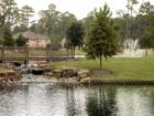 Lakes and walking trails in Lakes of Cypress Forest in Spring TX