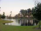 Upon your entrance through the main gates you are greeted with the tranquil view of lakes, waterfalls, and fountains. - Lakes of Cypress Forest in Spring TX