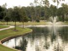 Meet your neighbors on your nightly walk around the community's lakes - Lakes of Cypress Forest in Spring TX