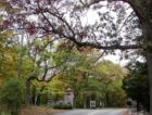 Gateway to Maple Woods neighborhood in Woodland