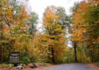 Northome is a fall color showcase!