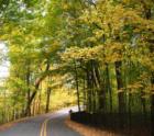 Autumn serenity in Cedarhurst