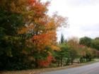 The fall color display in Greenwood