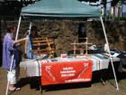 Picture from the Native American Festival