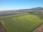 Photo of the Skagit Farmlands near Mount Vernon taken by Ryan Martin from Helicopter.