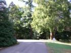 Ar11920730239616_l