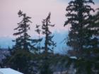 View of Canadian Rockies from Bellingham, WA.