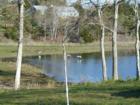 Look closely and you will see the blue heron taking flight across Little Cove, Bass River.