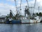 Shrimp Boats in Matlacha