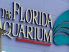 The Florida Aquarium is located within the Channelside District