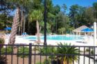 Beautiful Pool