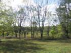 Fields surrounding the 1860 House, Montgomery Township, NJ