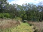 Walking path through the fields surrounding the 1860 House, Montgomery Township, NJ