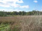 Fields surrounding the 1860 House, Montgomery Township, NJ