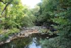 View of Rock Creek from bridge near Military Road.  
