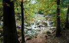 From the riding path, you can see how Rock Creek got it's name, especially when the water level is very low.