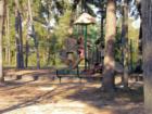 Kids enjoy playing at the Cypresswood playground that is nestled among the trees in Spring TX