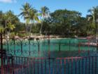 Venetian Pool