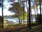 Hampstead NC Creek