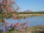 The Rio Grande has been an integral part of the history of New Mexico for thousands of years.  It can be said it is the backbone and lifeblood of Las Cruces.