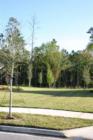 Venetian Bay. #12