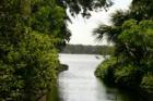 Winter Park. Touring the Butler Chain of Lakes. #2
