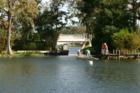 Winter Park. Touring the Butler Chain of Lakes. #5