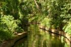 Winter Park. Touring the Butler Chain of Lakes. #11